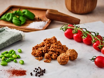 Vegansk Formbar Sojafärs