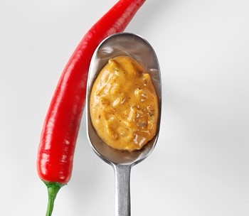 HAMBURGERDRESSING HOT MEXICAN