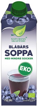 Ekologisk Blåbärssoppa