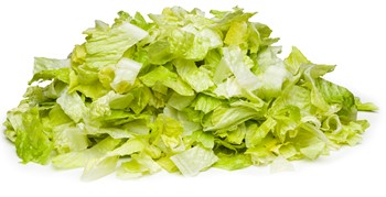 FS Isbergsallad skuren