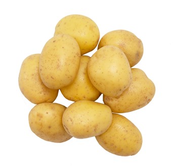 Potatis Delikatess borstad/förkokt