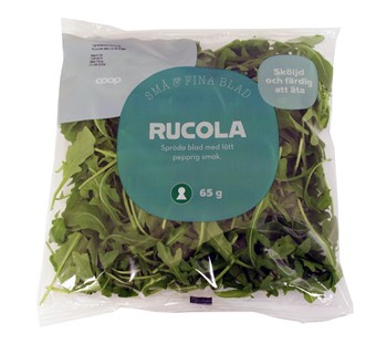 Rucola