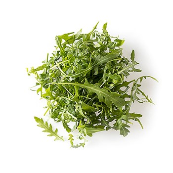 Ruccola