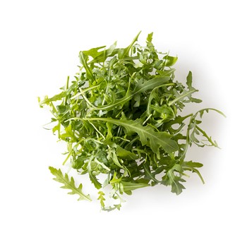 Ruccola