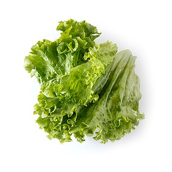 Gröna salladsblad
