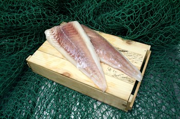 Sejfilé Feldts Blue, MSC