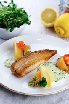 Djuphavskungsfisk (Uer) MSC