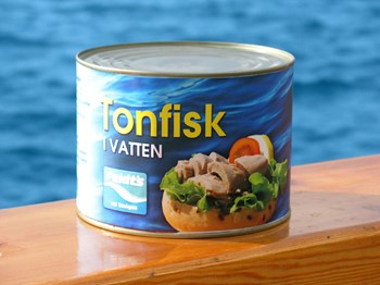 Tonfisk i vatten