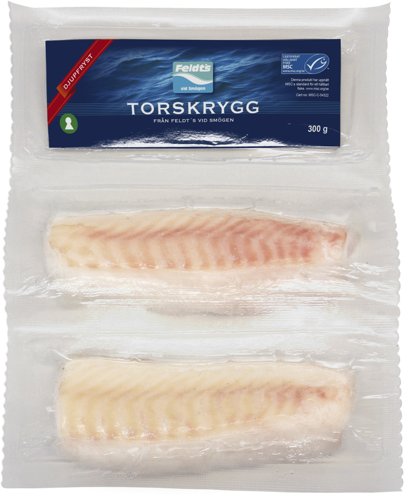 Torskrygg, MSC, dragspel