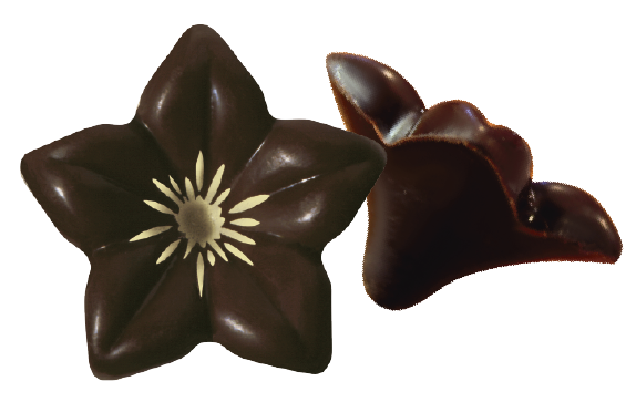 Mörk Chokladblomma