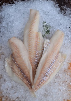 Koljafilé sjöfryst 150-250g MSC