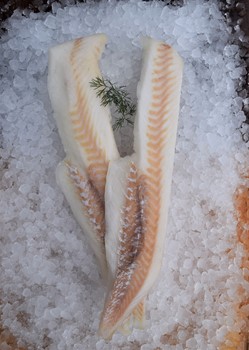 Torskfilé sjöfryst 250-500g MSC