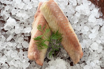 Sejloins 140-180 gr MSC