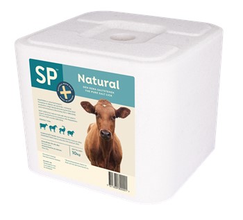 Saltsten Natural