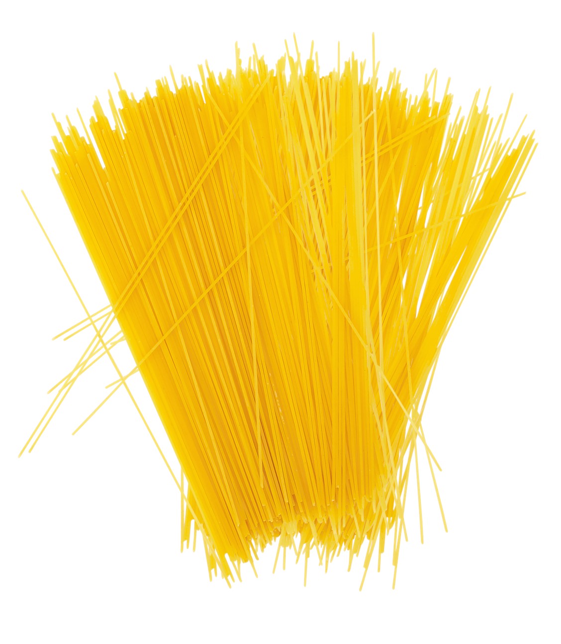 Win Line Spaghetti Spaghetti - BAS - Dabas