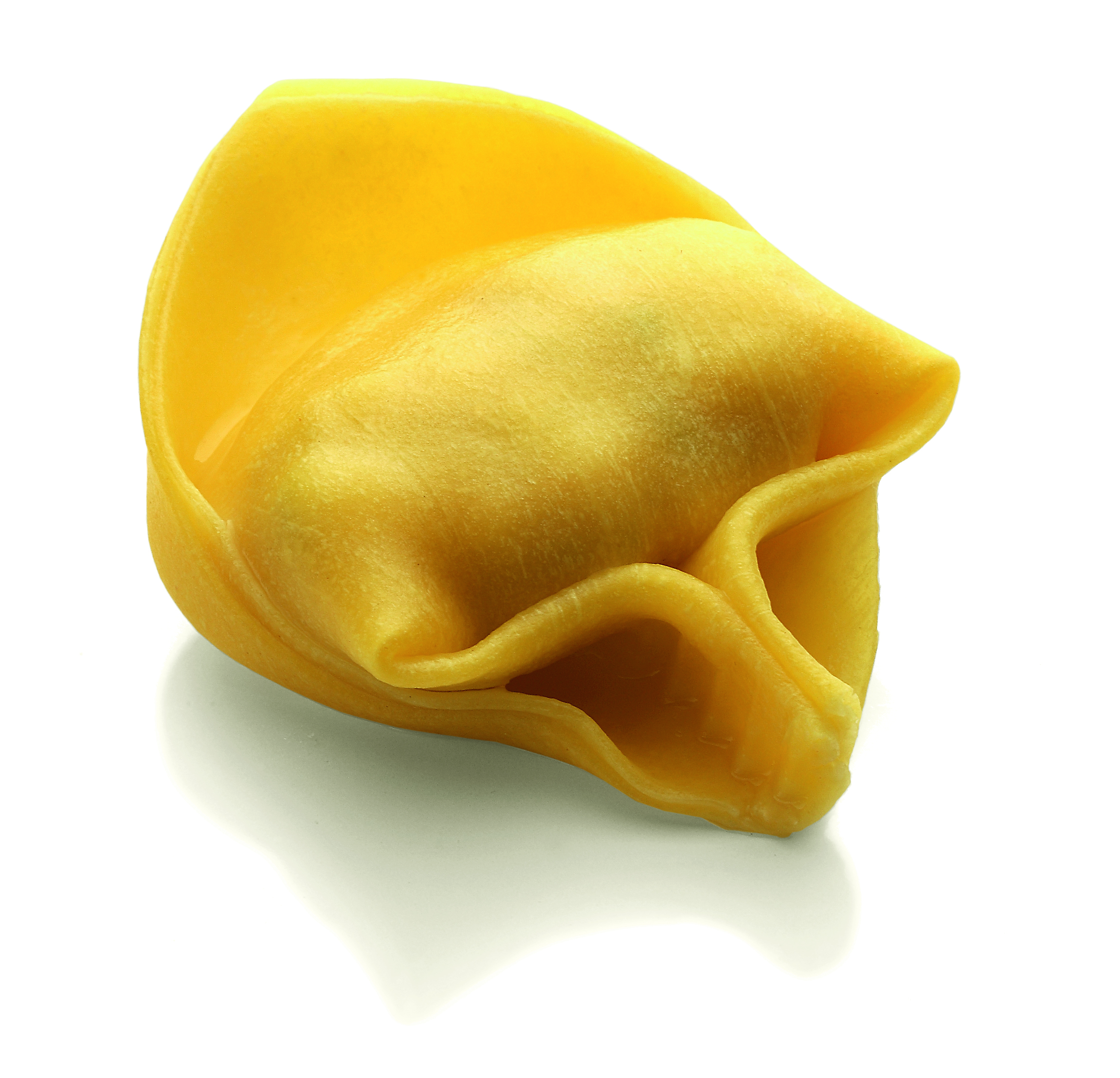 Tortelloni giganti ricotta sp