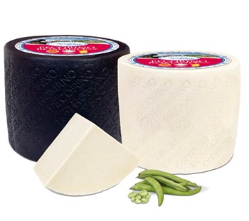 Pecorino