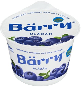 Blåbär