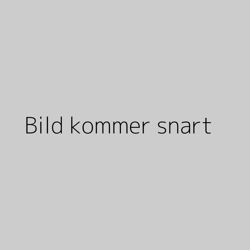 Röd Finkornig Rom