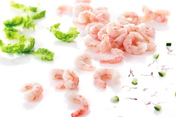 Räkor XXL i lake MSC 90-125