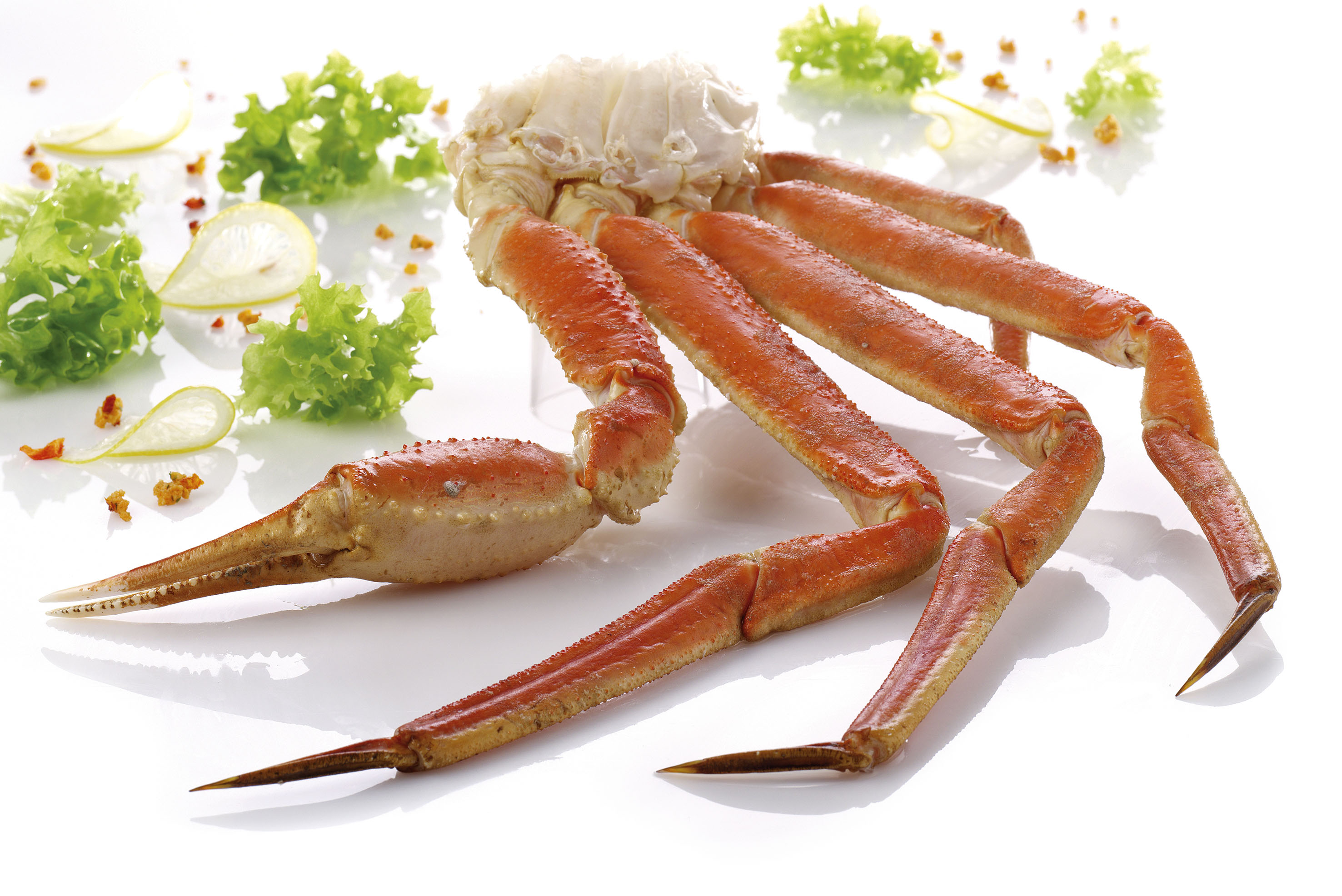 Snow crab (sektioner)