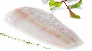 Sejfilé MSC 125-250g enkelfryst