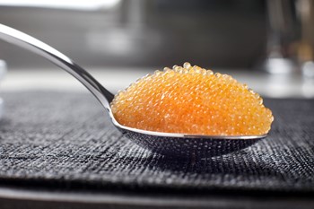 Sikrom Amerikansk
