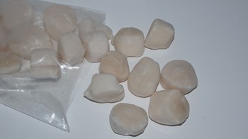 Kammusslor MSC 10-20/LB
