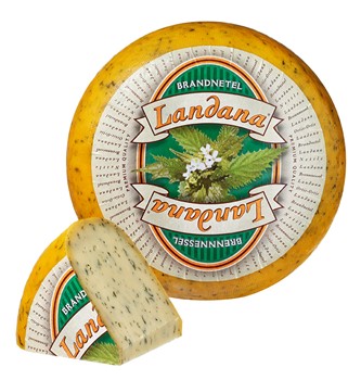 Gouda m brännässlor