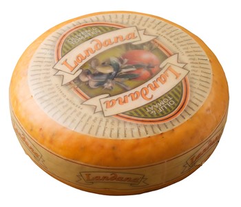 Gouda m tomat-oliver