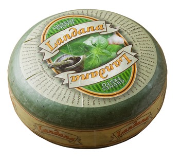 Gouda m Pesto