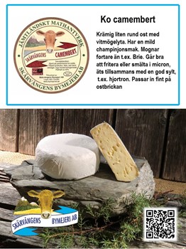 Camembert