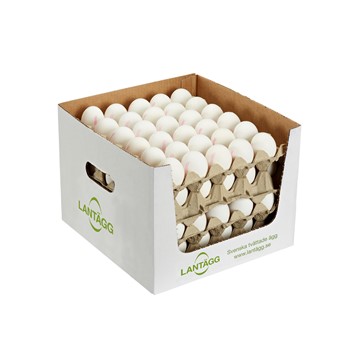 Inredd bur L Smartbox