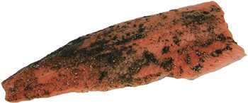 Gravad Lax Hel Filé