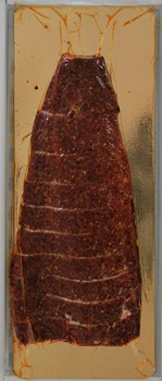 Varmrökt N Lax Enkelfilé Chili 130g