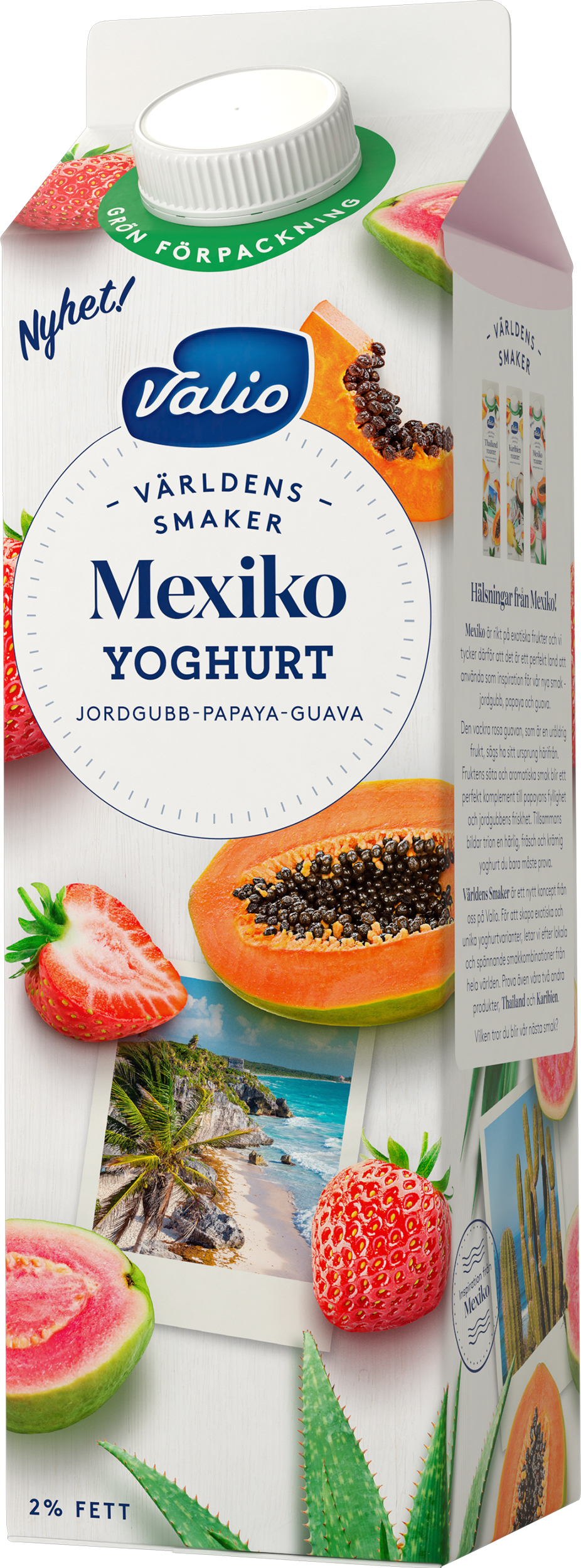 Yoghurt Mexiko